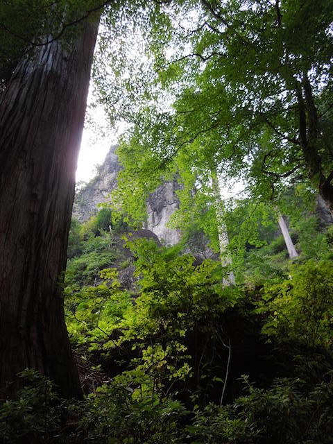 f:id:g-lab:20160806170254j:plain