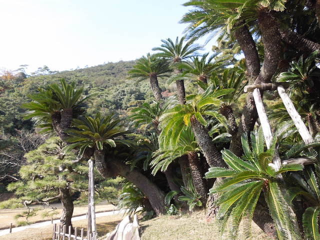 f:id:g-lab:20161202130045j:plain