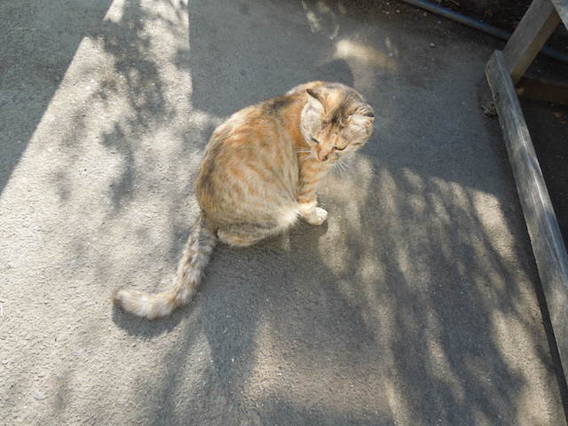 f:id:g-lab:20161203102423j:plain