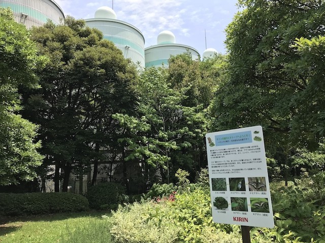 f:id:g-lab:20180714115434j:plain