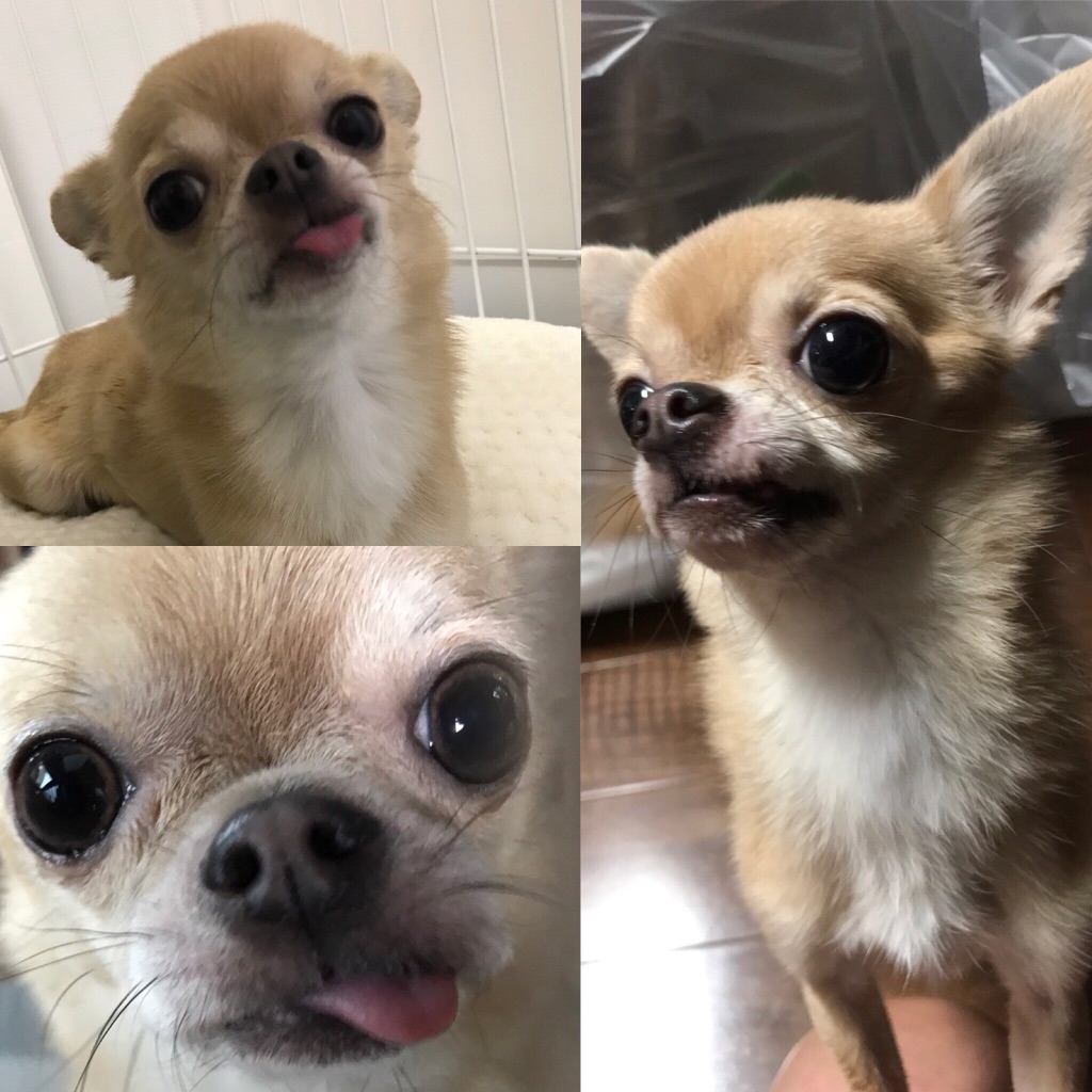 f:id:g-ninetyone:20180111010048j:plain