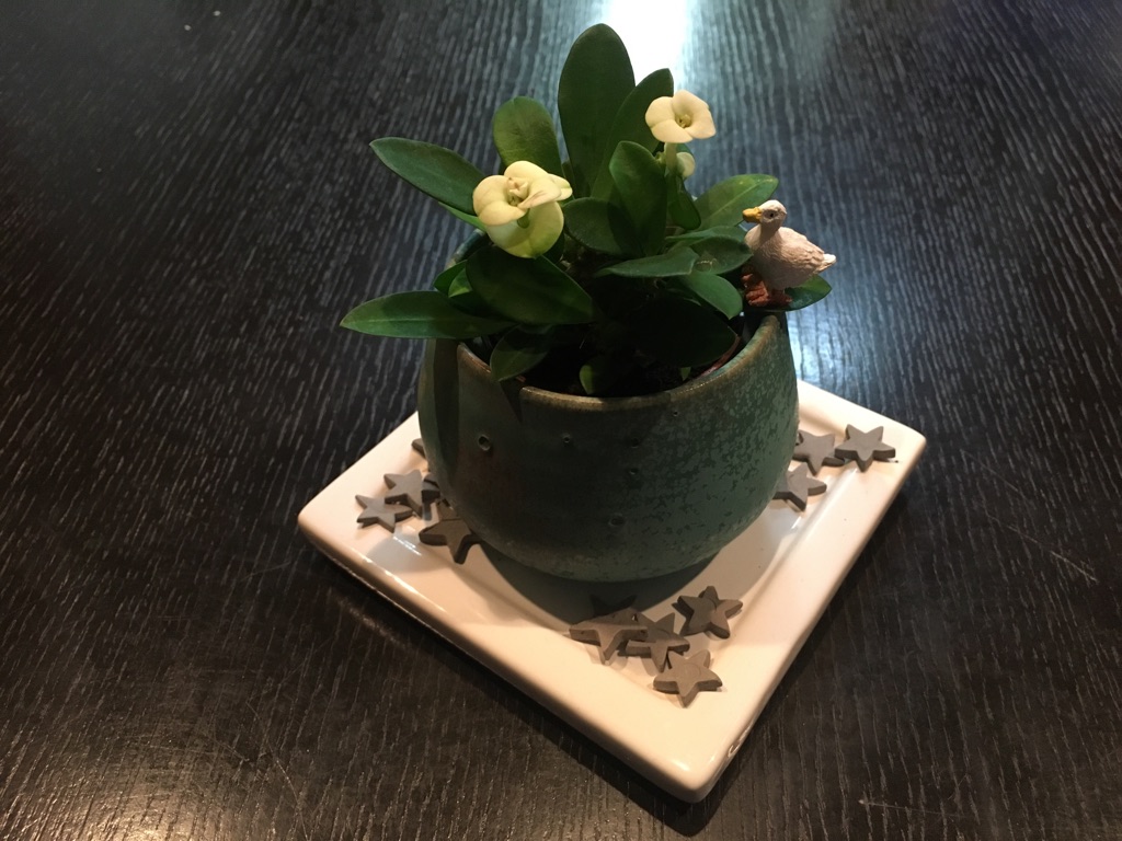 f:id:g-ninetyone:20180322203445j:plain