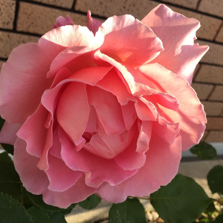 f:id:g-ninetyone:20180503233002j:plain