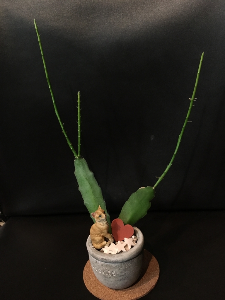 f:id:g-ninetyone:20180515213407j:plain