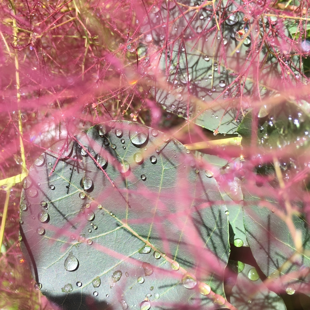 f:id:g-ninetyone:20180521210038j:plain