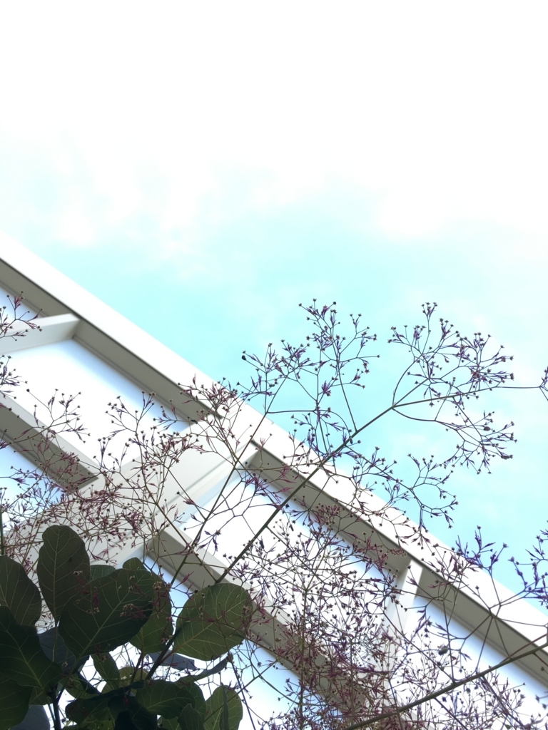 f:id:g-ninetyone:20180521210756j:plain