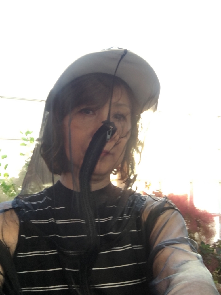 f:id:g-ninetyone:20180524213847j:plain