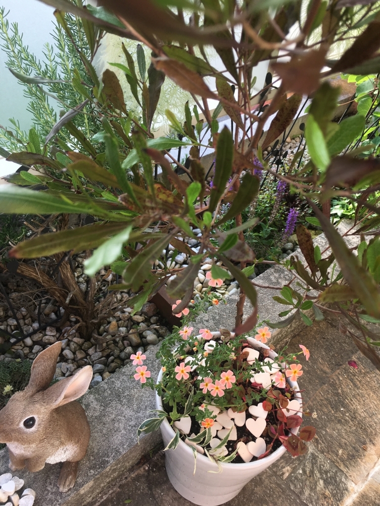 f:id:g-ninetyone:20180605204807j:plain