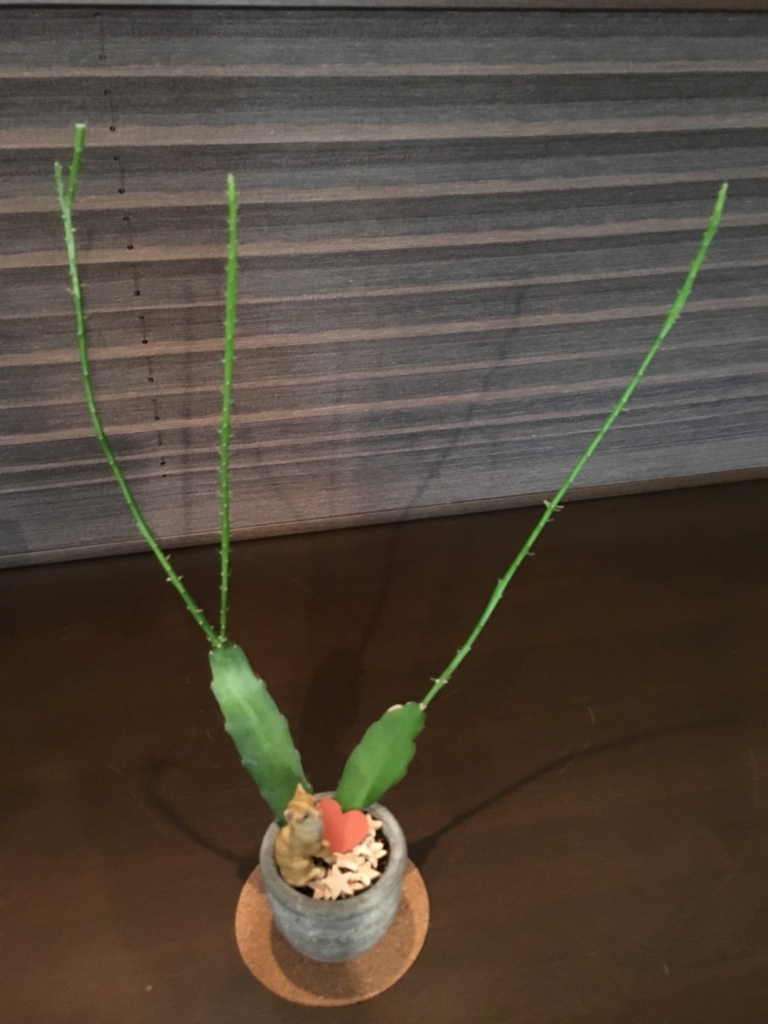 f:id:g-ninetyone:20180703203258j:plain