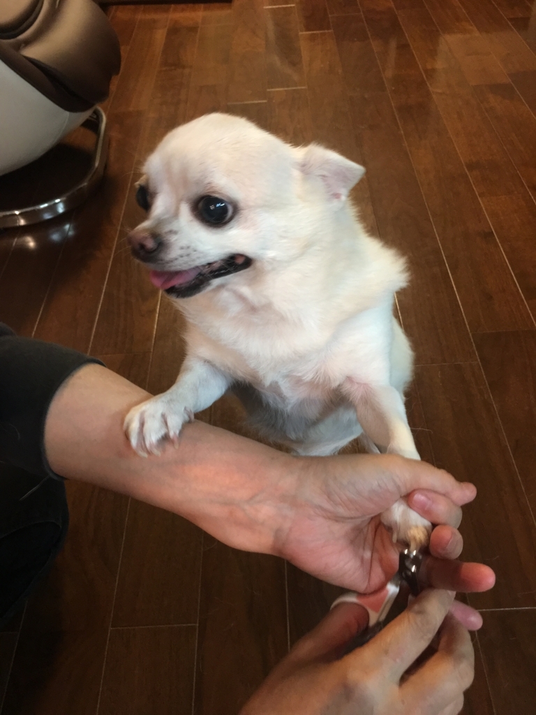 f:id:g-ninetyone:20180708214302j:plain