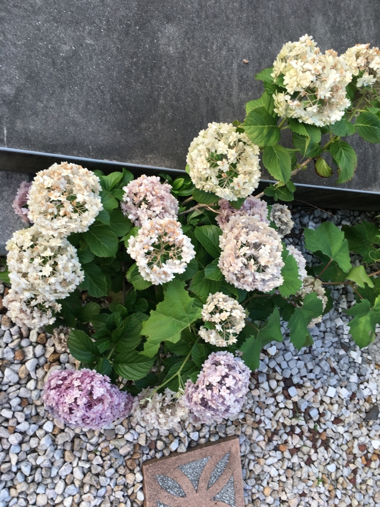 f:id:g-ninetyone:20180717202611j:plain