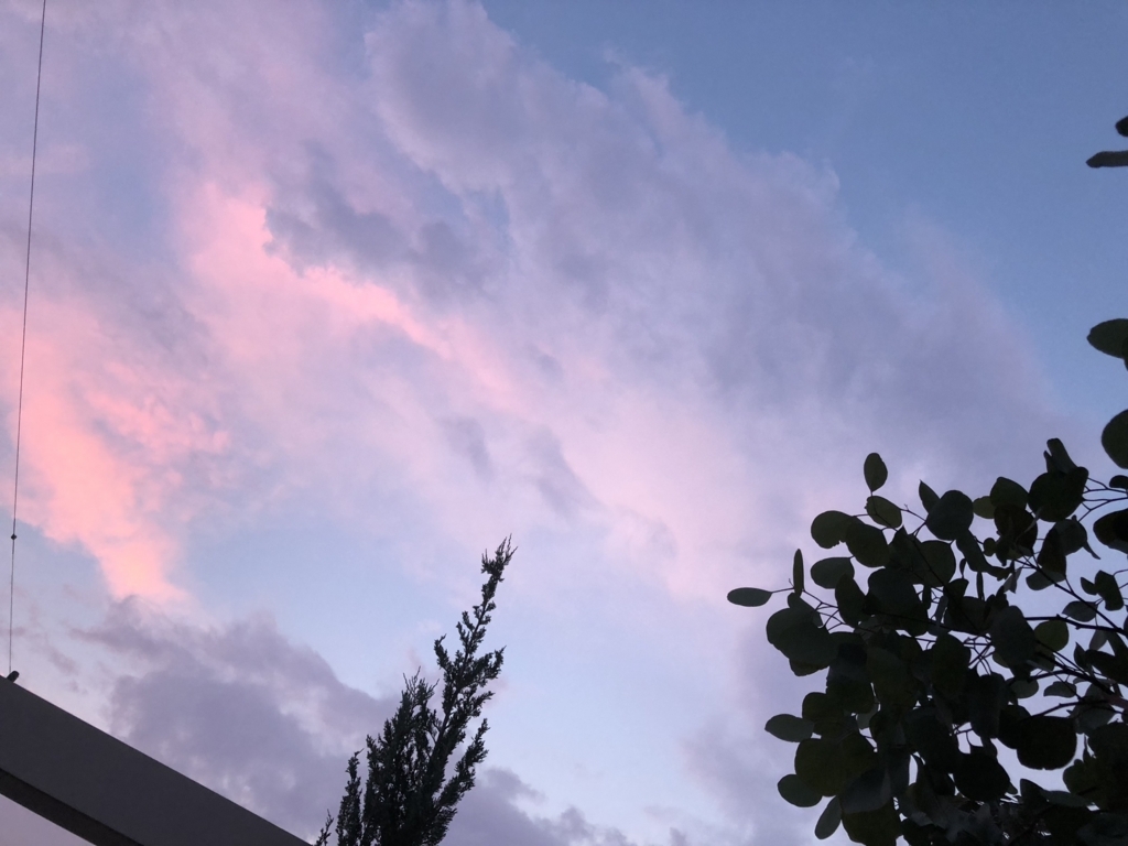 f:id:g-ninetyone:20180727210259j:plain