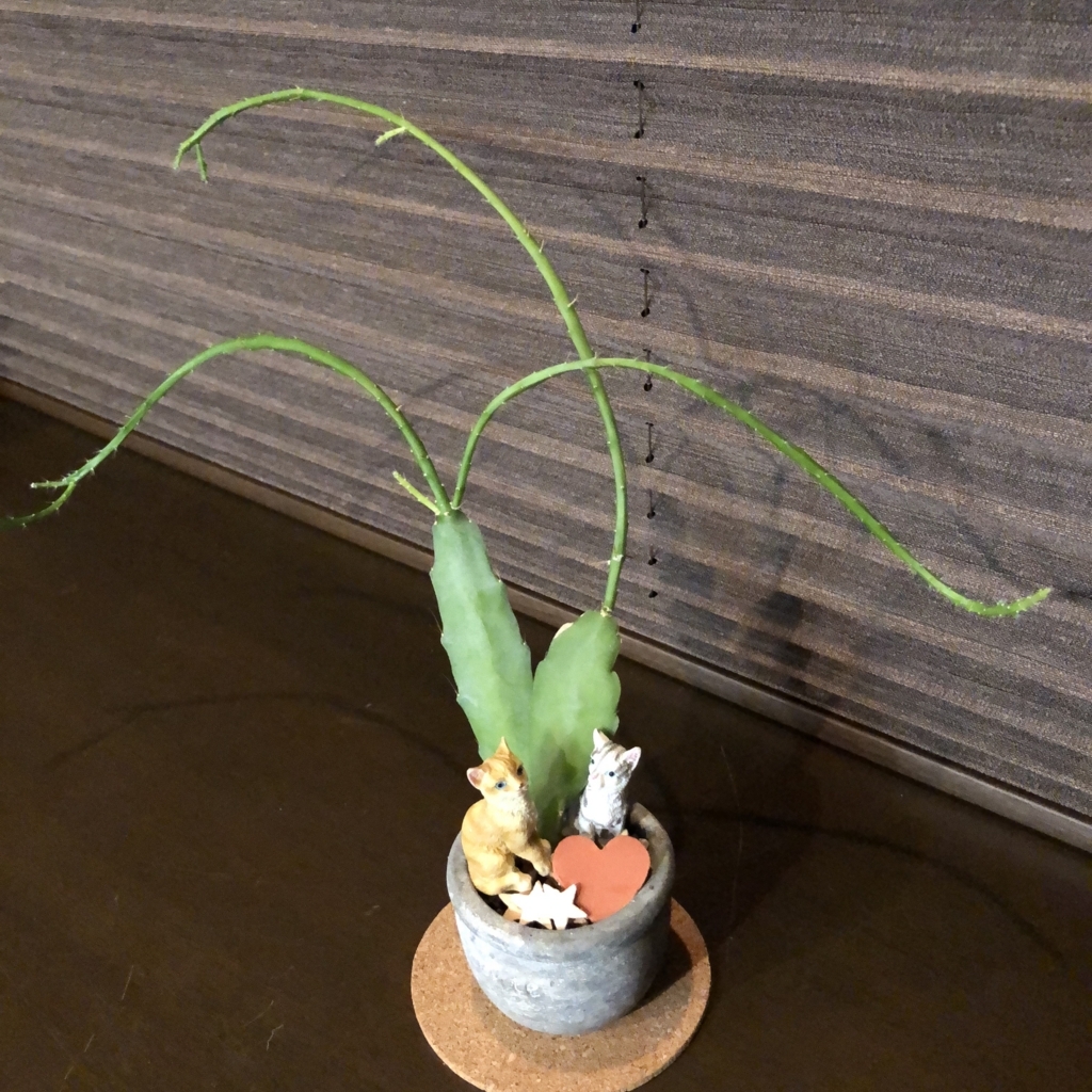 f:id:g-ninetyone:20180808200137j:plain