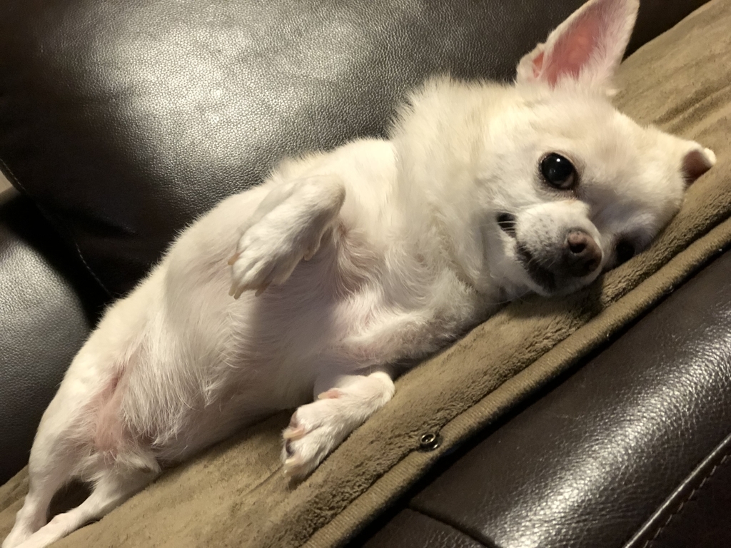 f:id:g-ninetyone:20181015235620j:plain