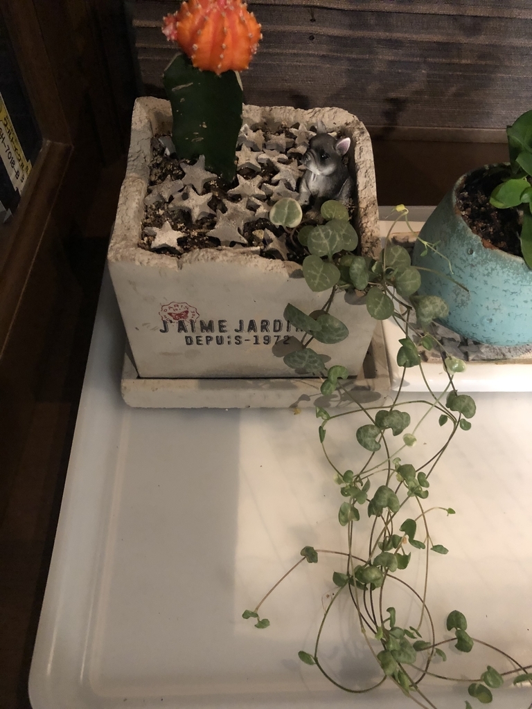 f:id:g-ninetyone:20181122213452j:plain