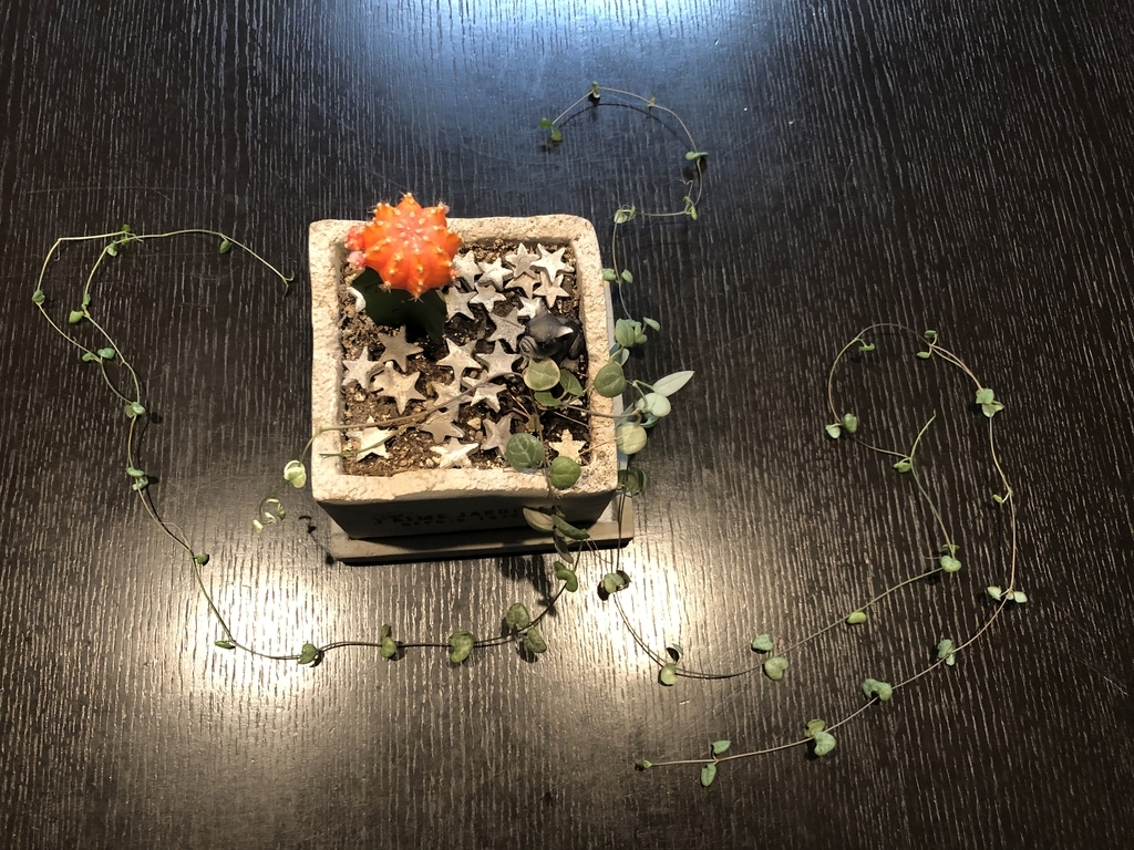 f:id:g-ninetyone:20181122213608j:plain