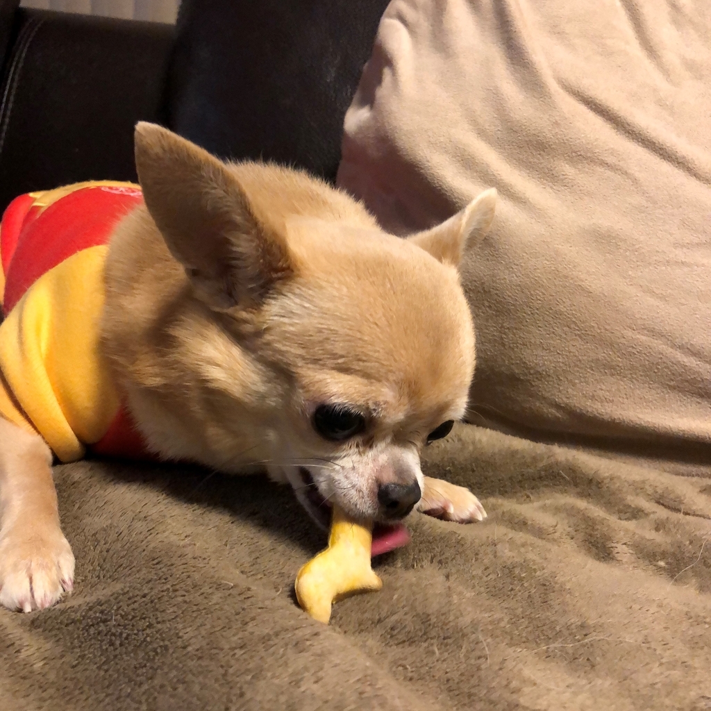 f:id:g-ninetyone:20190102211338j:plain
