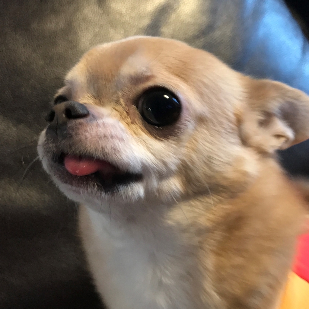 f:id:g-ninetyone:20190103205341j:plain