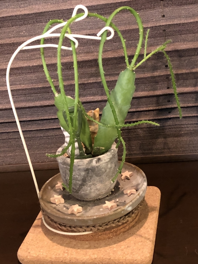 f:id:g-ninetyone:20190122205437j:plain