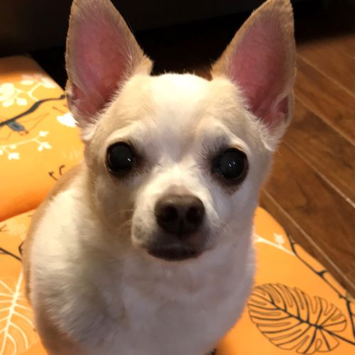 f:id:g-ninetyone:20190217194539j:plain