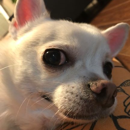f:id:g-ninetyone:20190218214920j:plain