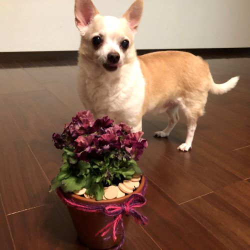 f:id:g-ninetyone:20190219211006j:plain f:id:g-ninetyone:20190219211006j:plain