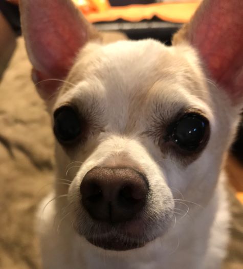 f:id:g-ninetyone:20190322222503j:plain