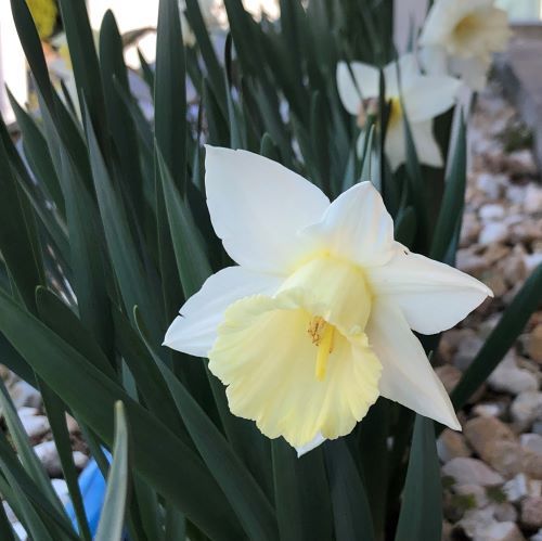 f:id:g-ninetyone:20190404203107j:plain f:id:g-ninetyone:20190404203107j:plain