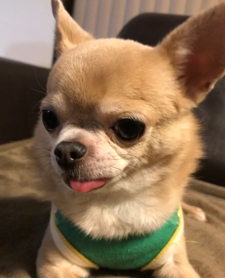 f:id:g-ninetyone:20190412212130j:plain