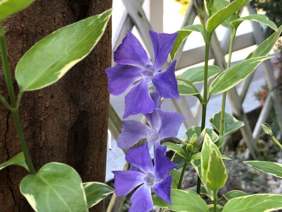 f:id:g-ninetyone:20190416202634j:plain