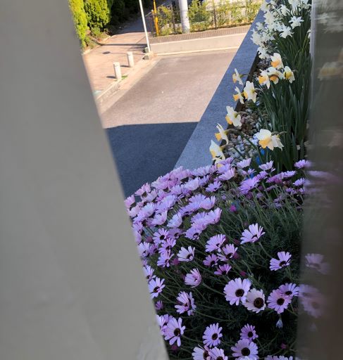 f:id:g-ninetyone:20190416212842j:plain