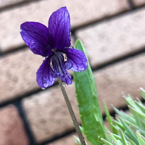 f:id:g-ninetyone:20190420220130j:plain f:id:g-ninetyone:20190420220130j:plain