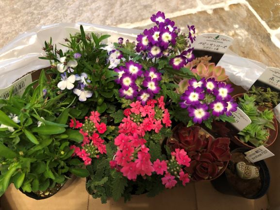 f:id:g-ninetyone:20190422204624j:plain f:id:g-ninetyone:20190422204624j:plain
