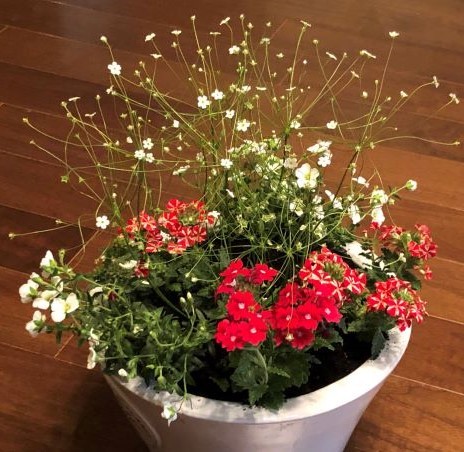 f:id:g-ninetyone:20190428221742j:plain