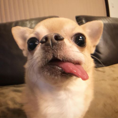 f:id:g-ninetyone:20190430211541j:plain