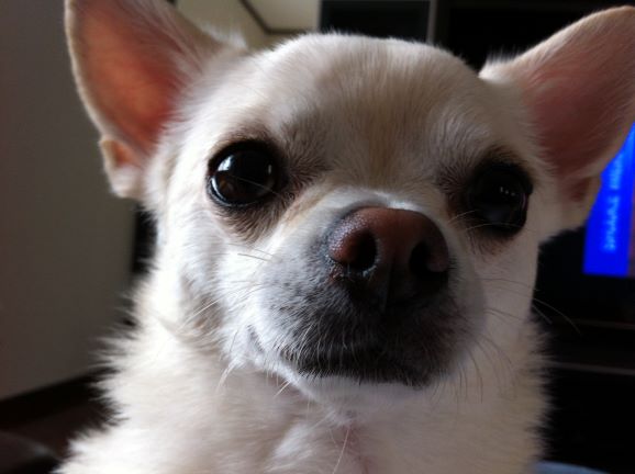 f:id:g-ninetyone:20190504205319j:plain