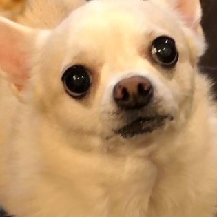 f:id:g-ninetyone:20190506203723j:plain