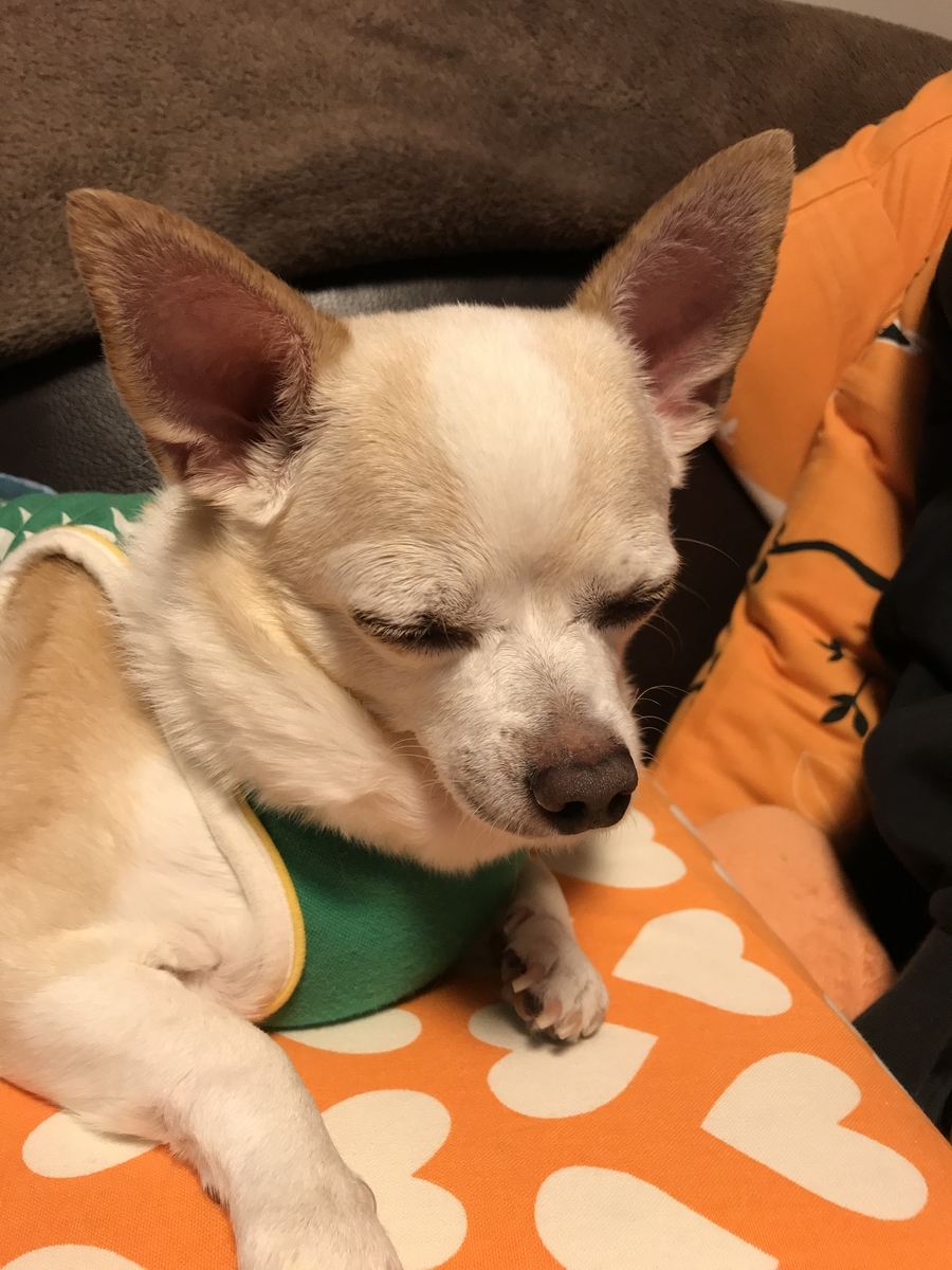 f:id:g-ninetyone:20190516214904j:plain
