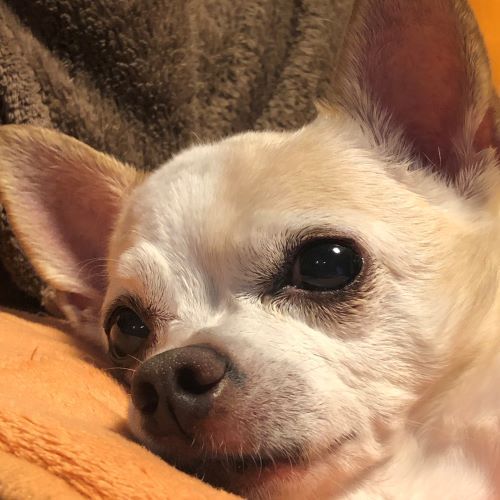 f:id:g-ninetyone:20190611202923j:plain