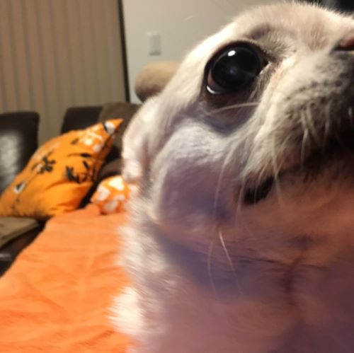 f:id:g-ninetyone:20190615233933j:plain