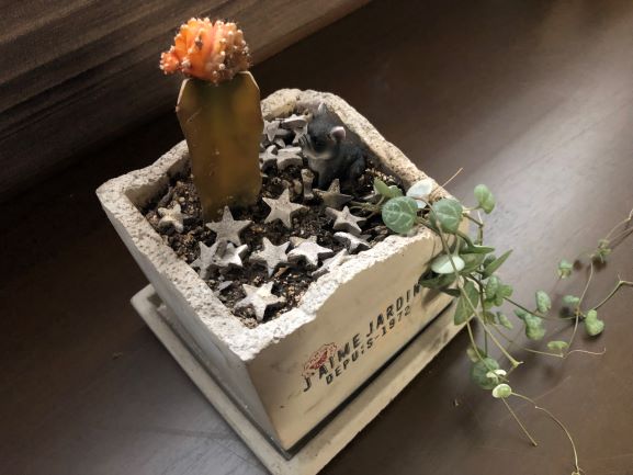 f:id:g-ninetyone:20190625220427j:plain