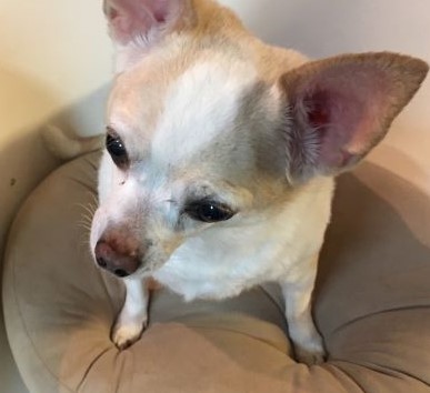 f:id:g-ninetyone:20190625223356j:plain