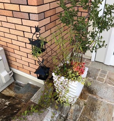 f:id:g-ninetyone:20190627215355j:plain