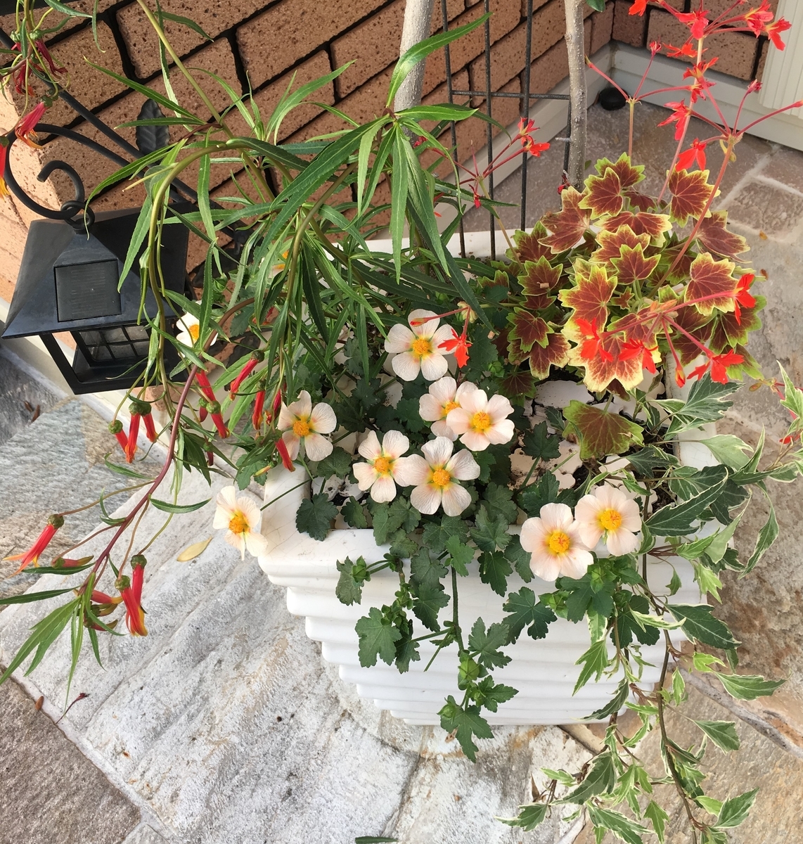 f:id:g-ninetyone:20190628204647j:plain