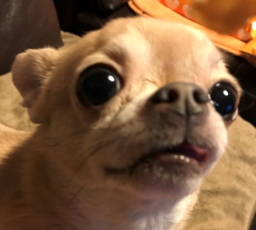 f:id:g-ninetyone:20190710184236j:plain