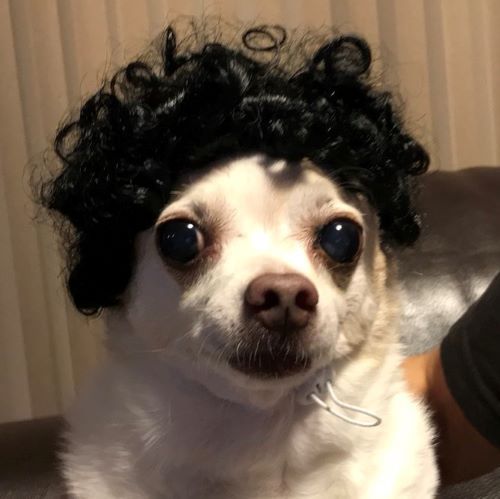 f:id:g-ninetyone:20190718210703j:plain