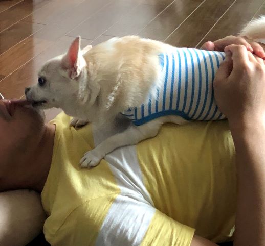 f:id:g-ninetyone:20190728214633j:plain f:id:g-ninetyone:20190728214633j:plain