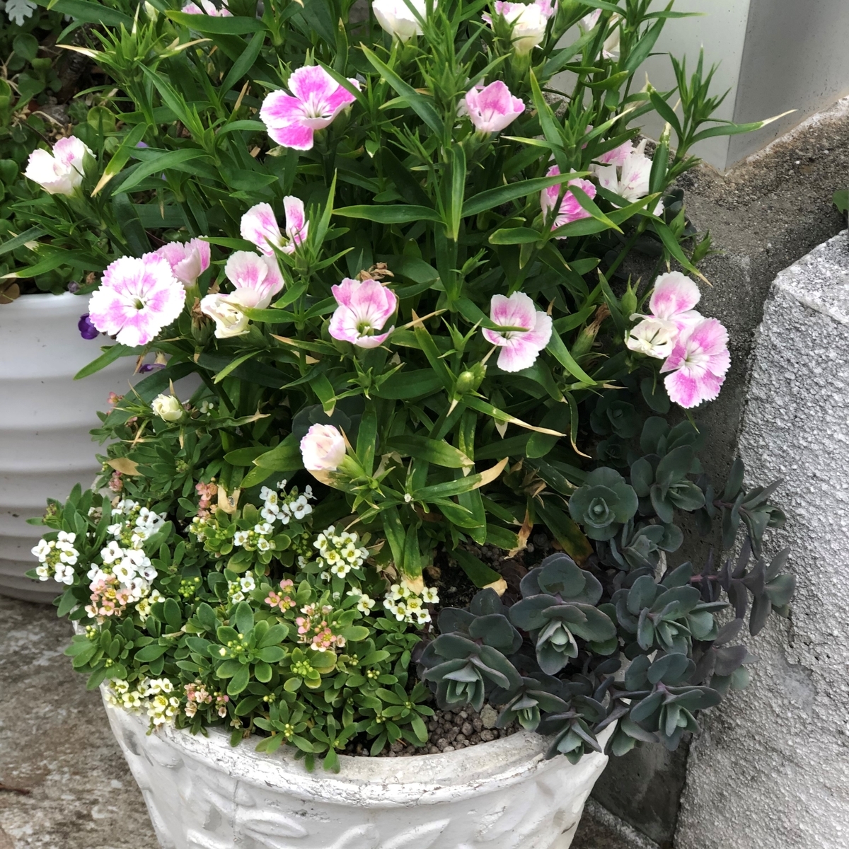 f:id:g-ninetyone:20190806221746j:plain