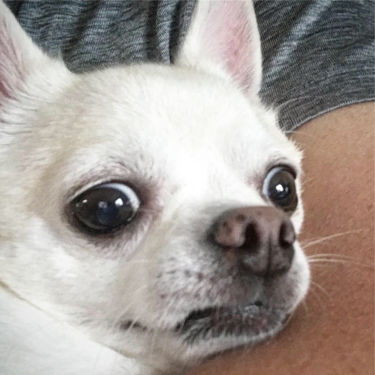 f:id:g-ninetyone:20190813225202j:plain