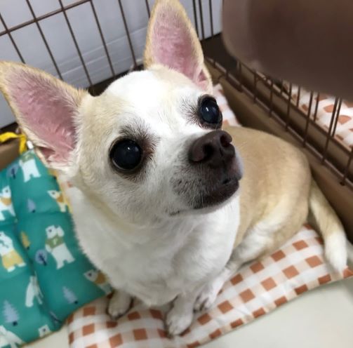 f:id:g-ninetyone:20190816212745j:plain